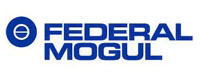 Federal Mogul